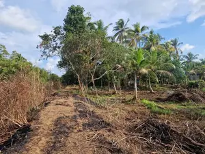 Prime Lake View Land for Sale Horana Moronthuduwa Road