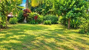Land with a house for sale in Bokundara - Thumbovila (SSPL-524)