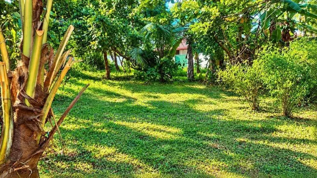 Land with a house for sale in Bokundara - Thumbovila (SSPL-524)