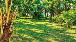Land with a house for sale in Bokundara - Thumbovila (SSPL-524)