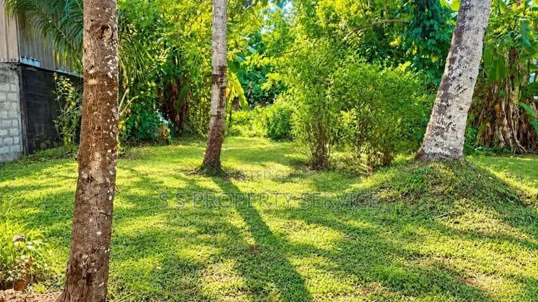 Land with a house for sale in Bokundara - Thumbovila (SSPL-524)