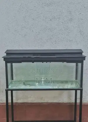 3 Feet Fish Tank