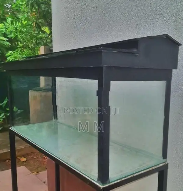 3 Feet Fish Tank