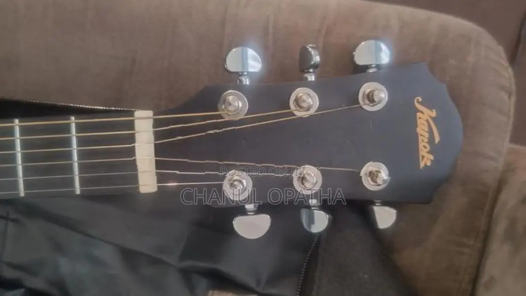Brand New Black Guitar