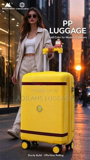 PP Unbreakable luggage bags trolley