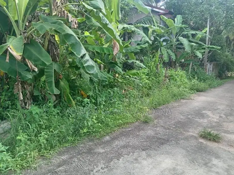 කළගෙඩිහේන පර්.11.9 ක වටිනා ඉඩම විකිණීමට