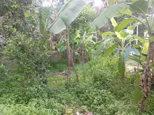 කළගෙඩිහේන පර්.11.9 ක වටිනා ඉඩම විකිණීමට