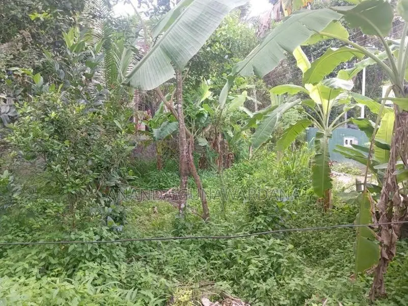 කළගෙඩිහේන පර්.11.9 ක වටිනා ඉඩම විකිණීමට