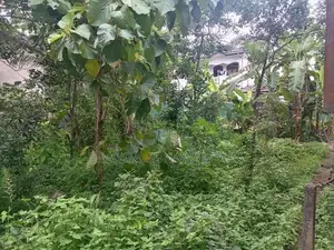 කළගෙඩිහේන පර්.11.9 ක වටිනා ඉඩම විකිණීමට