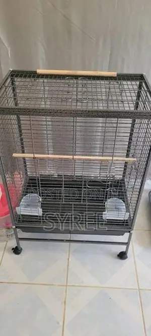 Birds Cages
