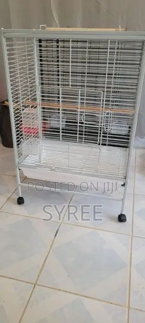 Birds Cages