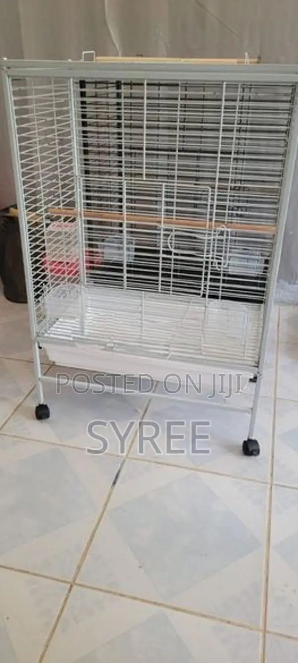 Birds Cages