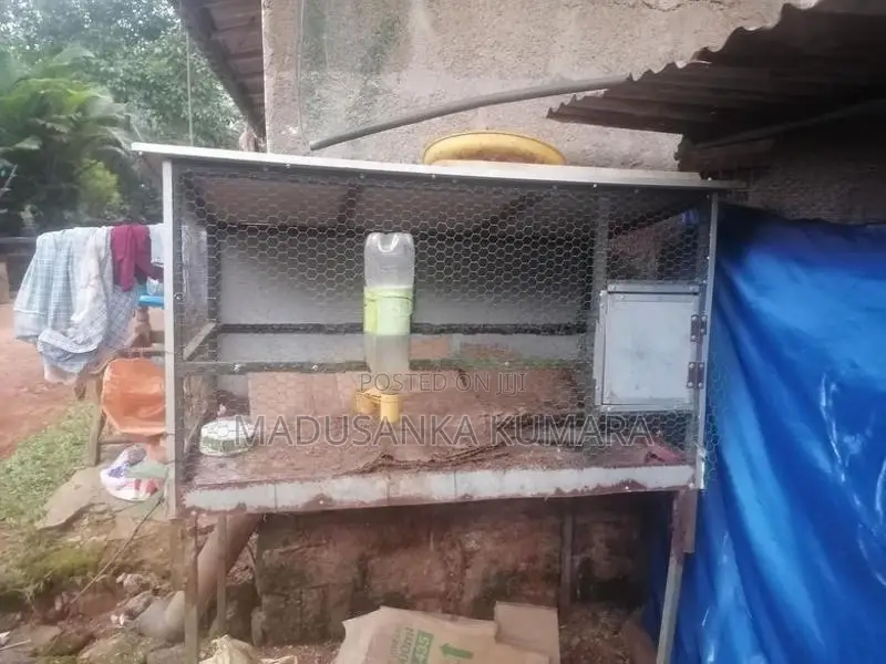 Kuduwak