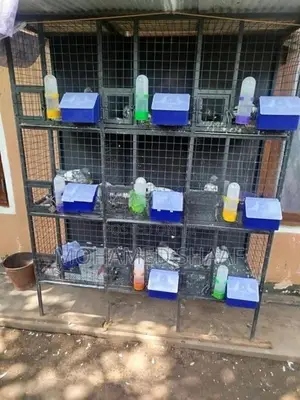 Pigeon Breeding Cage