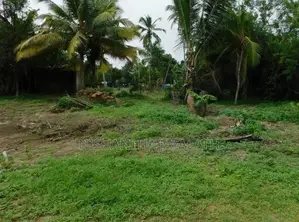 දඹුල්ල නගරාසන්නයෙන් ඉඩමක්
