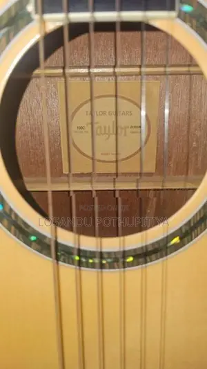 Taylor Acoustic Guitar