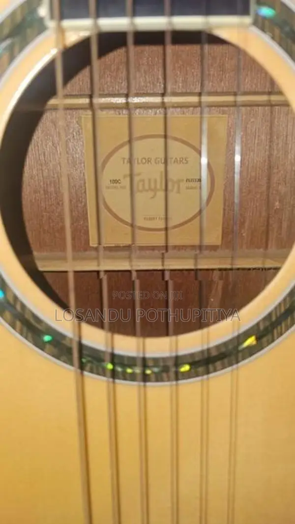 Taylor Acoustic Guitar