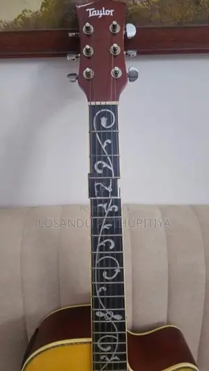 Taylor Acoustic Guitar