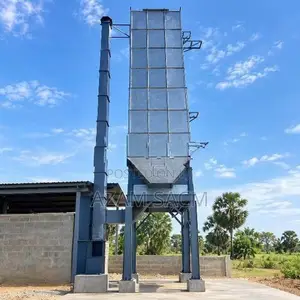Paddy Dryer