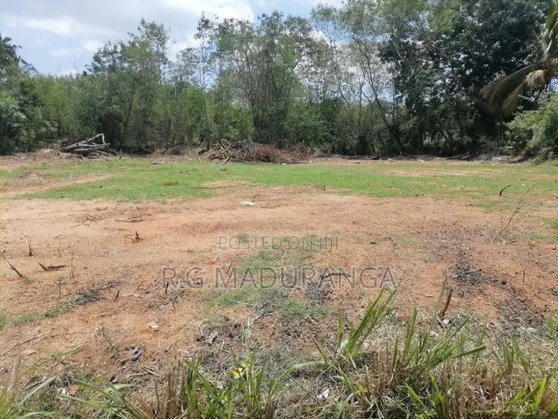 50 Perch Commercial Land for Lease – Hungama A2 Main Road