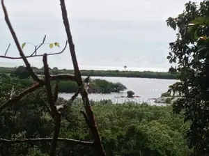පානම මුහුදට ආසන්න පර්චස් 120ක ඉඩමක් විකිණීමට