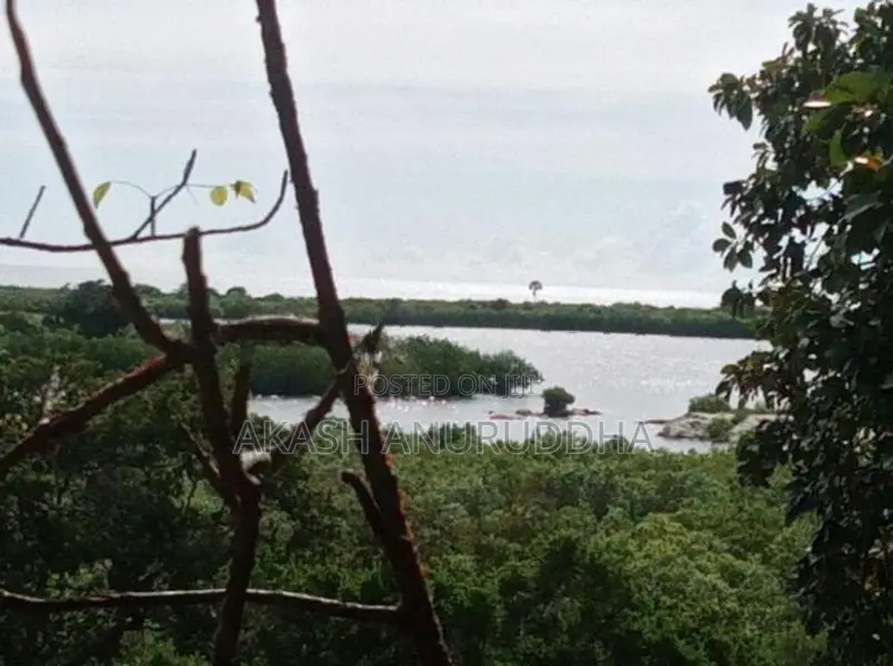පානම මුහුදට ආසන්න පර්චස් 120ක ඉඩමක් විකිණීමට