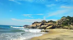 පානම මුහුදට ආසන්න පර්චස් 120ක ඉඩමක් විකිණීමට
