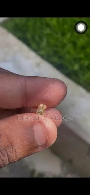 Yellow Sapphire Natural 1.10 Carat