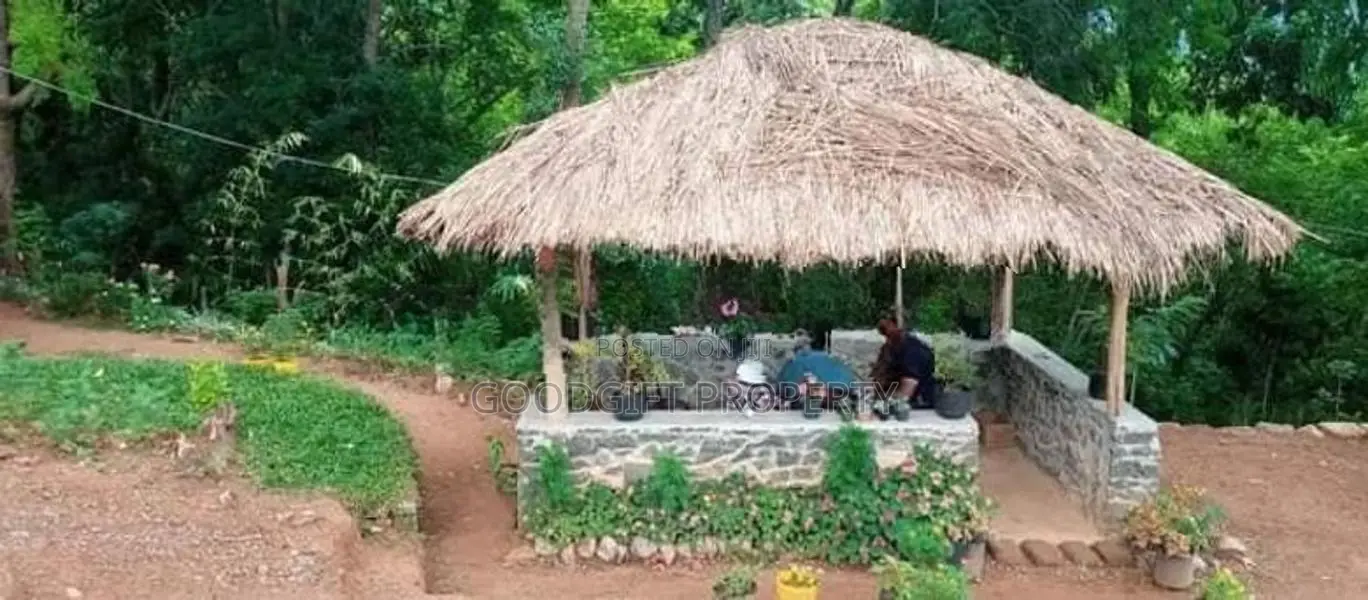 20 Perch Tourism Land for Sale Near Haputale – Kurinchi Hill City