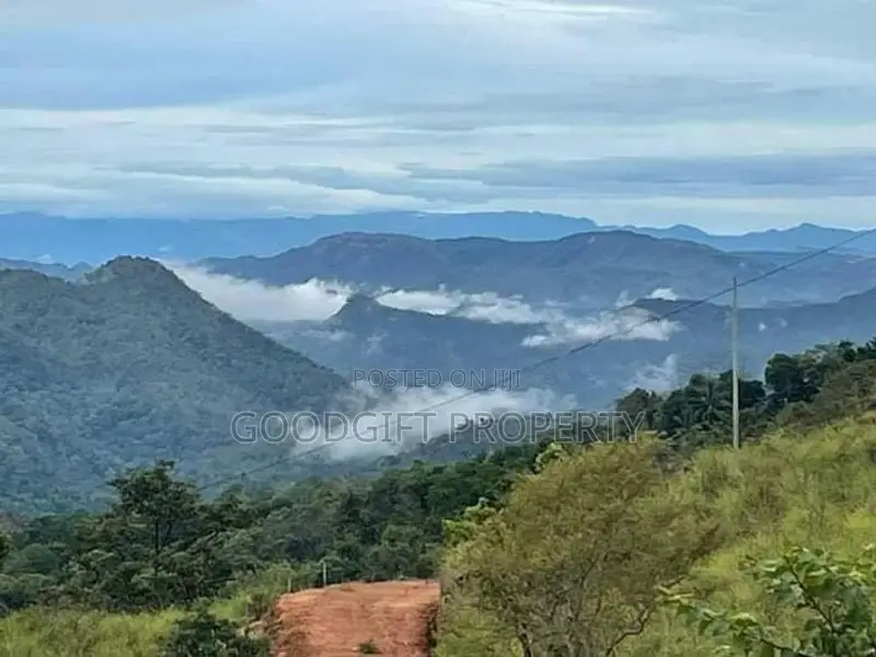 20 Perch Tourism Land for Sale Near Haputale – Kurinchi Hill City