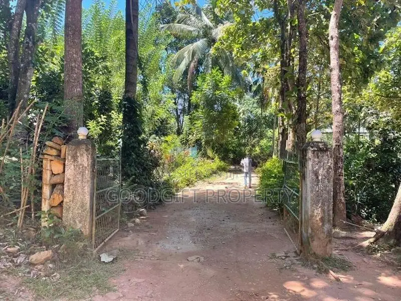 20 Perch Tourism Land for Sale Near Haputale – Kurinchi Hill City