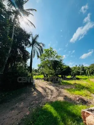 5 Acre Land for Sale in Wennappuwa