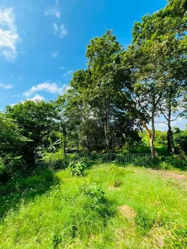 5 Acre Land for Sale in Wennappuwa