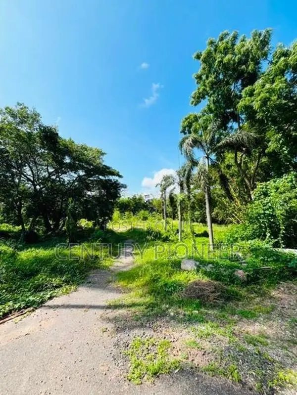 5 Acre Land for Sale in Wennappuwa