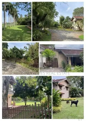 Paddy Field with Luxury Furnished Villa for Sale - Maharagama