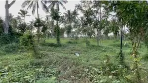 48 Acre Land For Sale In Malwana Biyagama