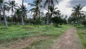 48 Acre Land For Sale In Malwana Biyagama