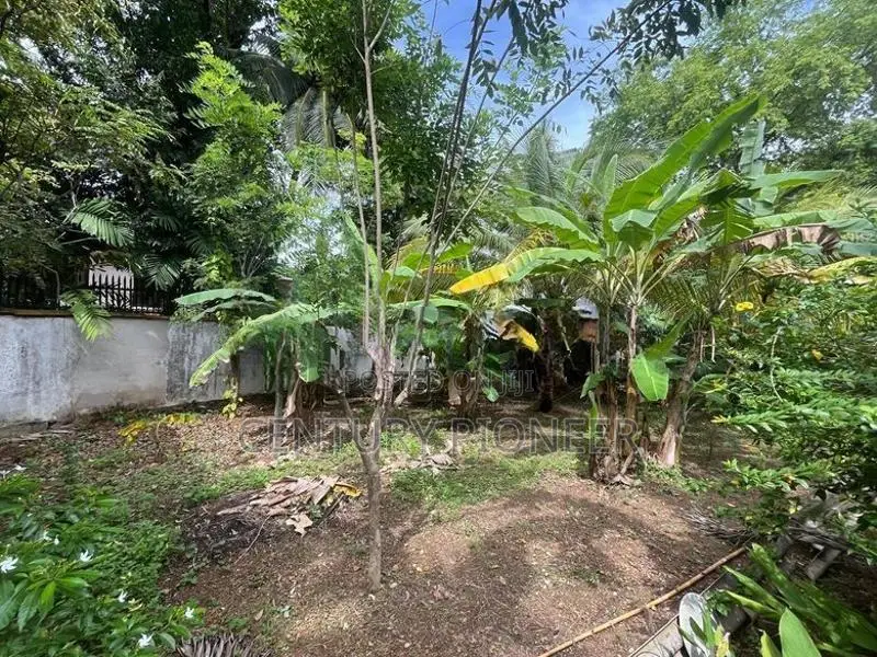 Land For Sale In Nawala
