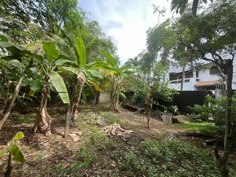 Land For Sale In Nawala