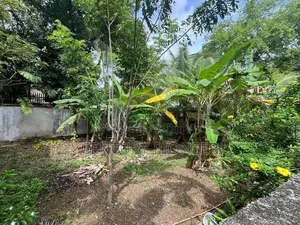 Land For Sale In Nawala