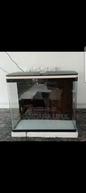 Fish Tank