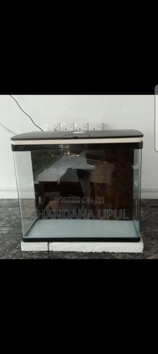 Fish Tank