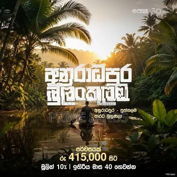 පුත්තලම් පාරට මුහුනලා ව්‍යාපාරික ඉඩමක්