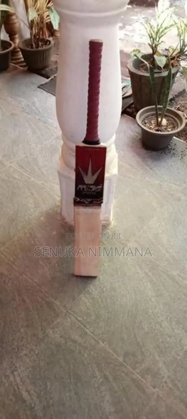 Cricket Bat