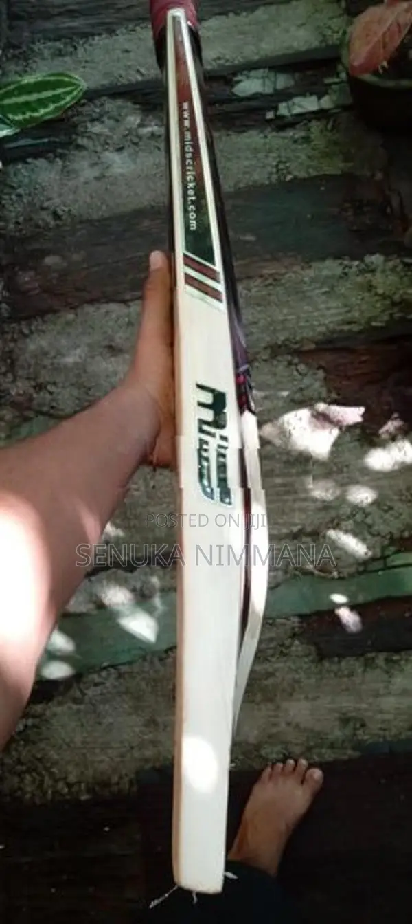 Cricket Bat