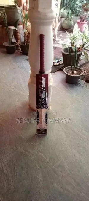 Cricket Bat
