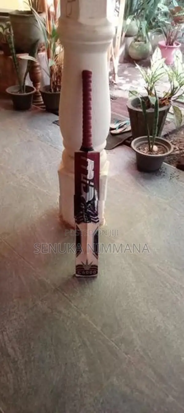 Cricket Bat