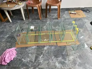 Fish Tank