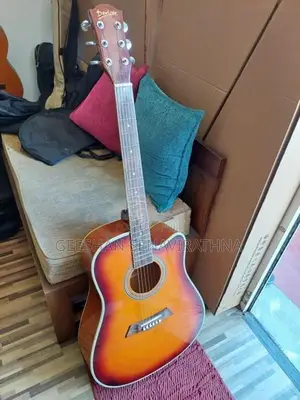 Deviser Acoustic Guitar
