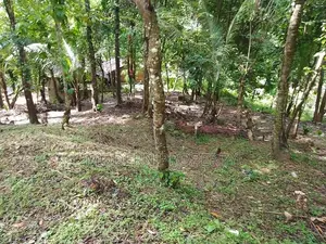 Land for sale in Matale